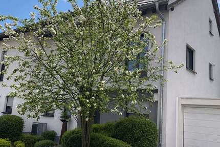 Haus Ludwigshafen am Rhein - Oppau Oppau - 5 Zimmer, 230 m&sup2;, 745.000&euro; | Angebot:26996971