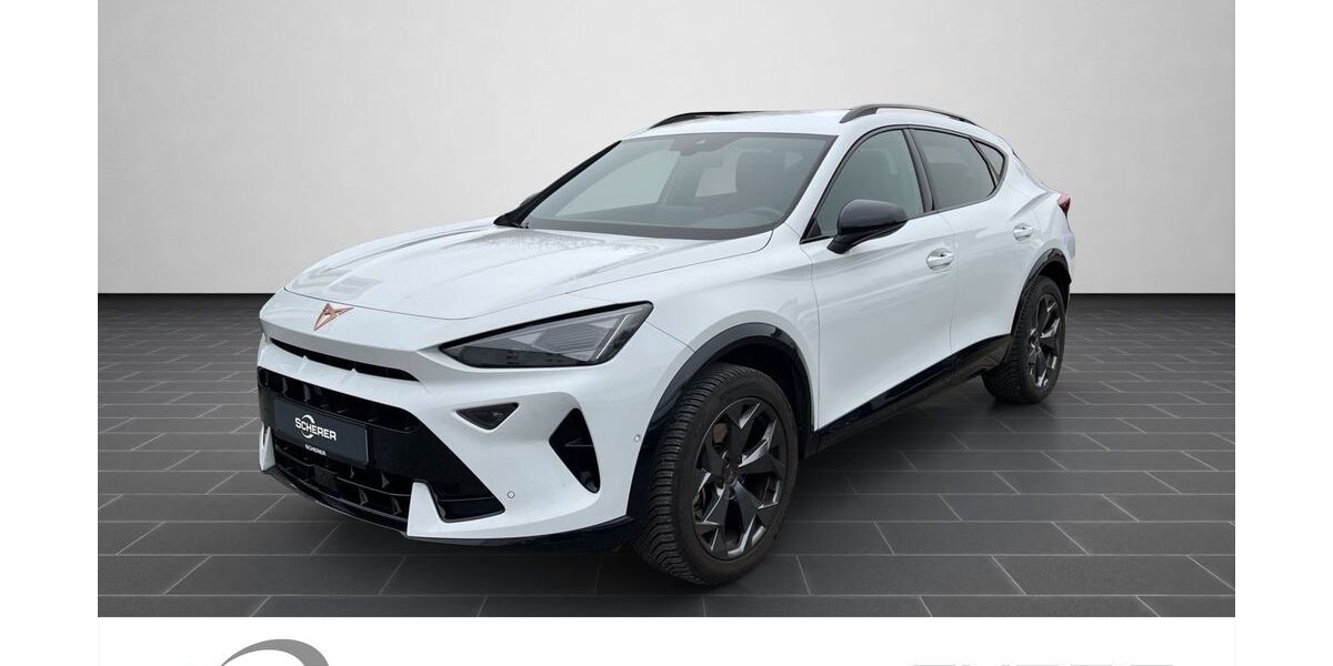 Cupra Formentor 34.739 km 30.490 &euro; Heidelberg 69123