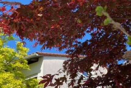 Haus Heidelberg - Rohrbach - 6 Zimmer, 135 m&sup2;, 525.000&euro; | Angebot:26629218