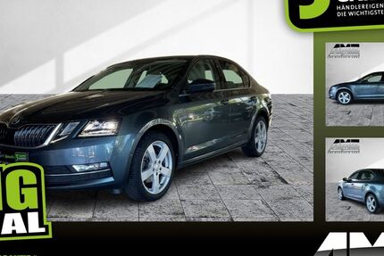 Skoda Octavia 94.000 km 13.990 € Ludwigshafen 67065