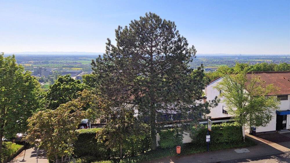 Doppelhaushälfte Heidelberg Emmertsgrund - 6 Zimmer, 170 m&sup2;, 445.000&euro; | Angebot:26378075