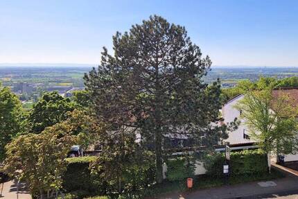 Haus Heidelberg Emmertsgrund - 6 Zimmer, 170 m&sup2;, 445.000&euro; | Angebot:26378075