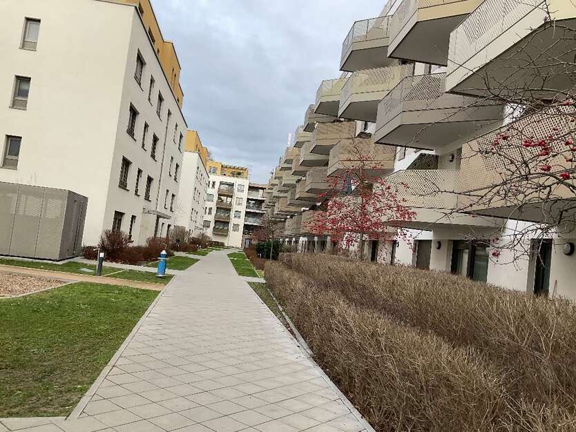 Wohnung zum Mieten in Ludwigshafen 1.093,26 € 87.98 m² 3 zimmer