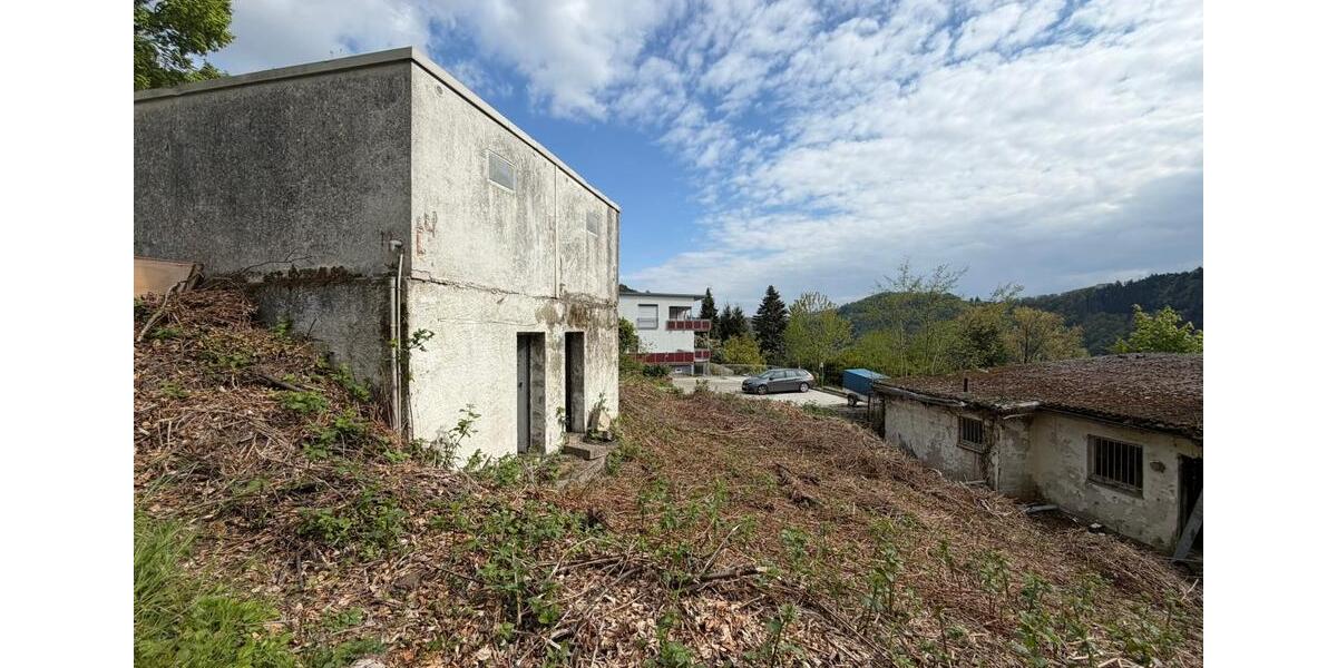 Einfamilienhaus Neckarsteinach - 220.000&euro; | Angebot:26891224