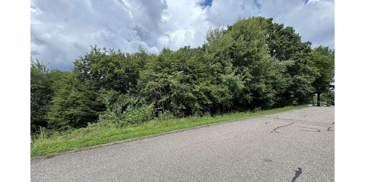 Grundstück Waldbrunn - 50.000&euro; | Angebot:21847562