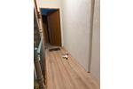 Etagenwohnung Ludwigshafen am Rhein Mundenheim - 3 Zimmer, 80 m&sup2;, 1.360&euro; | Angebot:26424485