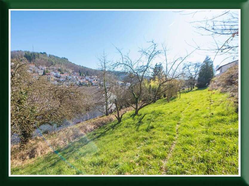 Grundstück zu verkaufen in Schriesheim 479.000 € 1595 m²