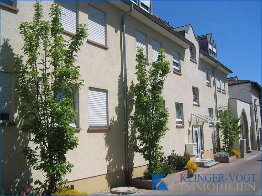 Wohnung zum Mieten in Ludwigshafen am Rhein 400 € 39 m² 1 zimmer