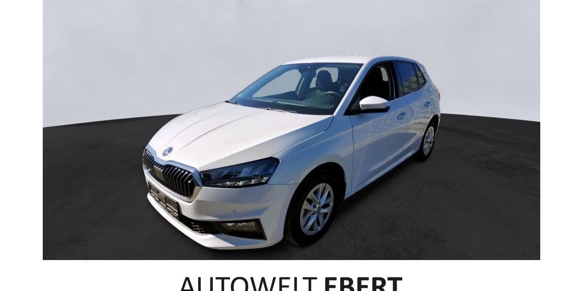 Skoda Fabia 46.400 km 17.890 &euro; Heidelberg 69123