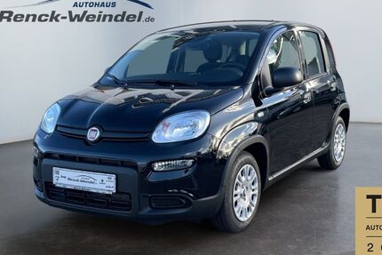 Fiat New Panda 1.575 km 14.489 &euro; Mannheim 68199