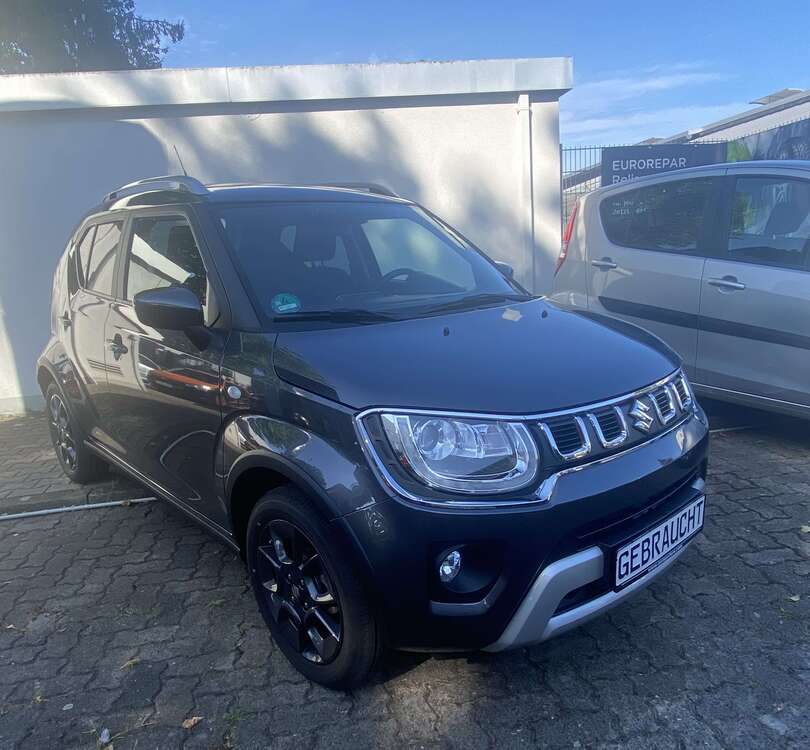 Ignis