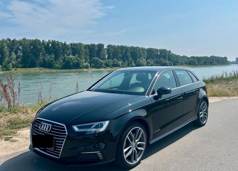 A3