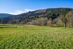 Gewerbeobjekt Wald-Michelbach / Unter-Schönmattenwag Unter-Schönmattenwag - 250.000&euro; | Angebot:25660930