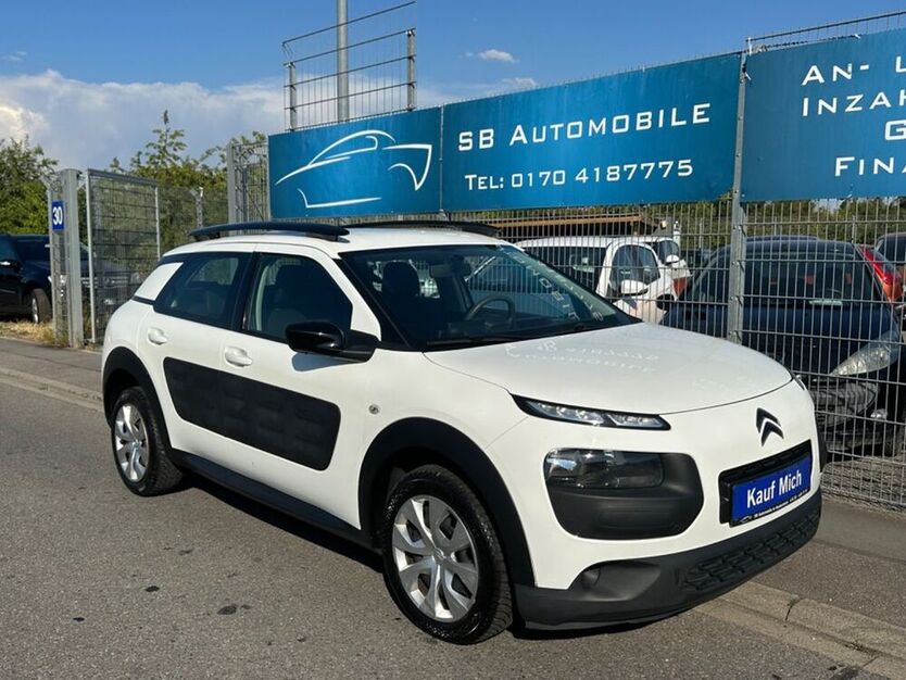 C4 Cactus