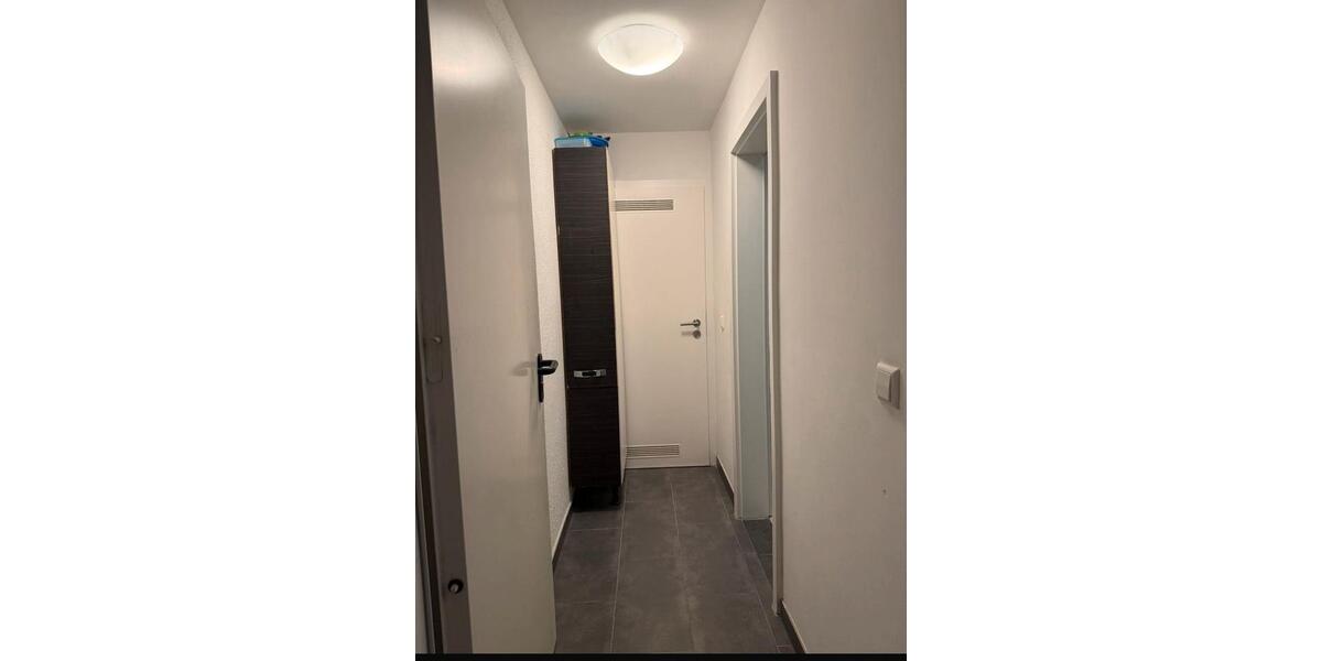 Erdgeschoßwohnung Wiesloch - 1 Zimmer, 40 m&sup2;, 450&euro; | Angebot:26644341