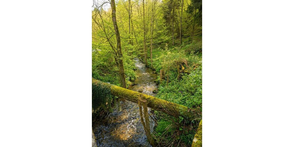 Gewerbeobjekt Wald-Michelbach Michelbach - 195&euro; | Angebot:25991914
