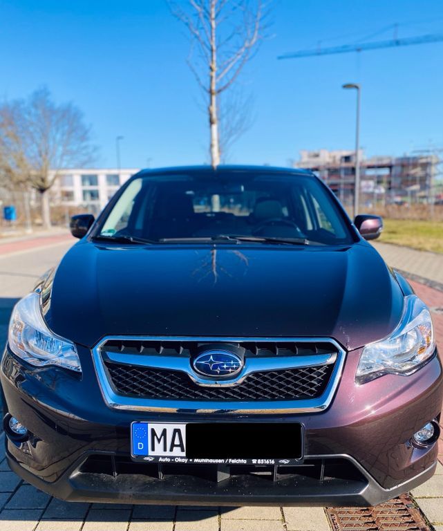 XV