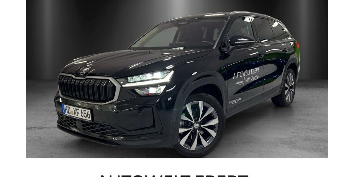 Skoda Kodiaq 19.900 km 49.880 &euro; Weinheim 69469
