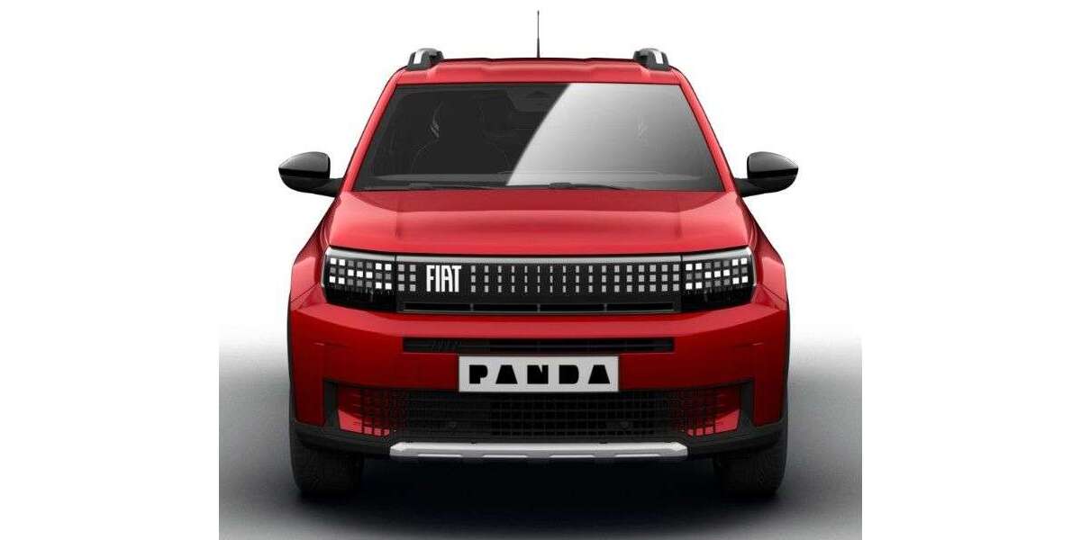 Fiat Grande Panda 3.500 km 22.000 &euro; Sinsheim 74889