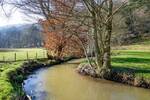 Gewerbeobjekt Wald-Michelbach / Unter-Schönmattenwag Unter-Schönmattenwag - 250.000&euro; | Angebot:25660930