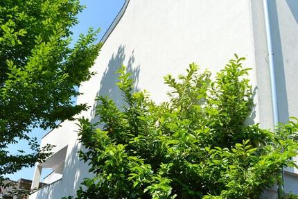 Wohnung Heidelberg Peterstal - 2 Zimmer, 62 m&sup2;, 1.200&euro; | Angebot:25719354