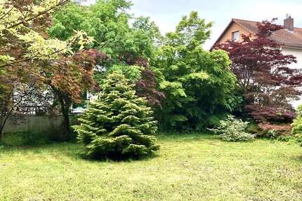 Grundstück zu verkaufen in Speyer 499.999 € 900 m² zimmer