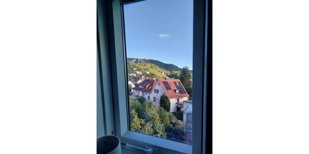 Dachgeschoßwohnung Laudenbach - 2 Zimmer, 63 m&sup2;, 900&euro; | Angebot:24672624