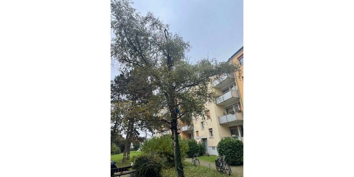 Etagenwohnung Ludwigshafen am Rhein Parkinsel - 3 Zimmer, 83 m&sup2;, 920&euro; | Angebot:26379708