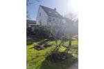 Einfamilienhaus Mannheim Sandhofen - 8 Zimmer, 175 m&sup2;, 790.000&euro; | Angebot:26044572