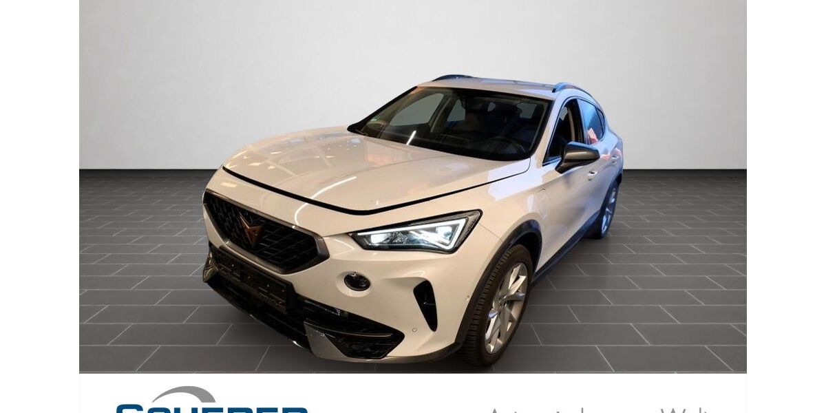 Cupra Formentor 37.033 km 26.750 &euro; Ladenburg 68526