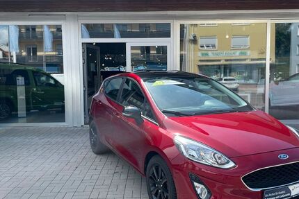 Ford Fiesta 103.410 km 9.900 &euro; Speyer 67346