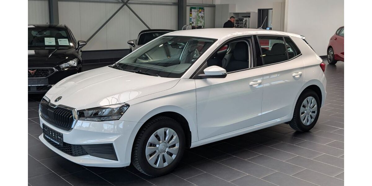 Skoda Fabia 68.000 km 12.900 &euro; Weinheim 69469