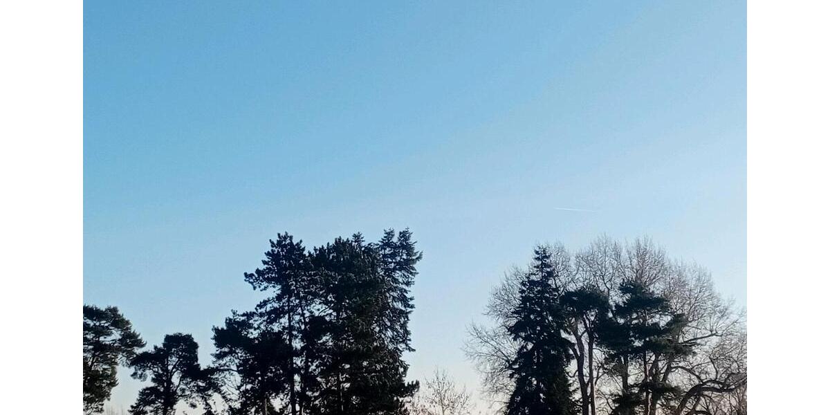 Etagenwohnung Lorsch - 3 Zimmer, 90 m&sup2;, 1.250&euro; | Angebot:25403287