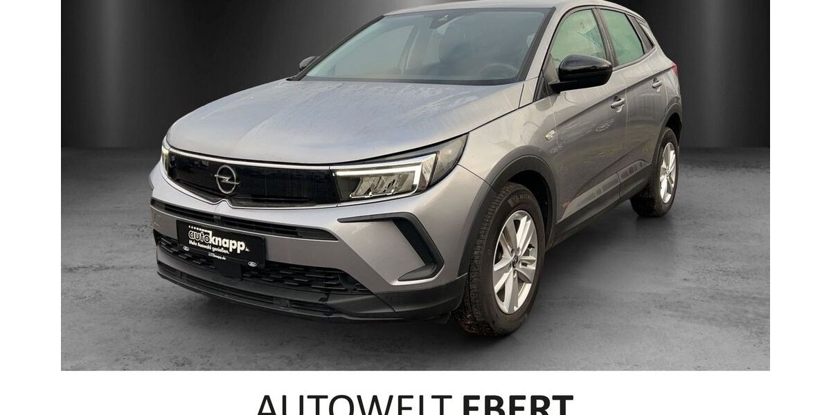 Opel Grandland (X) 30.203 km 20.440 € Frankenthal 67227