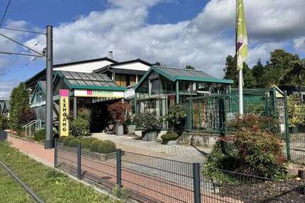 Einzelhandel in Leimen 2.950 € 350 m² zimmer