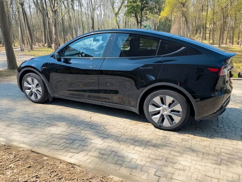Model Y