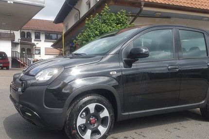 Fiat Panda 99 km 14.800 &euro; Grasellenbach/Wahlen 64689