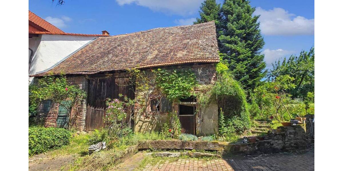 Mehrfamilienhaus, Wohnhaus Nußloch - 1 Zimmer, 395 m&sup2;, 949.000&euro; | Angebot:23967619