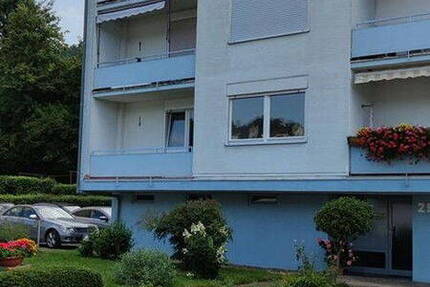 Komplett saniert - 3 Zi - Balkon - PKW Stellplatz - ruhig und naturnah