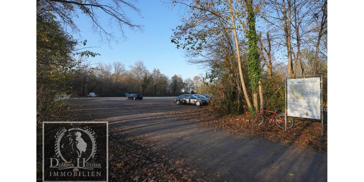 Erstbezug nach Modernisierung direkt am Maudacher Bruch-Ideal für Spaziergänge mit Hund 2 zimmer