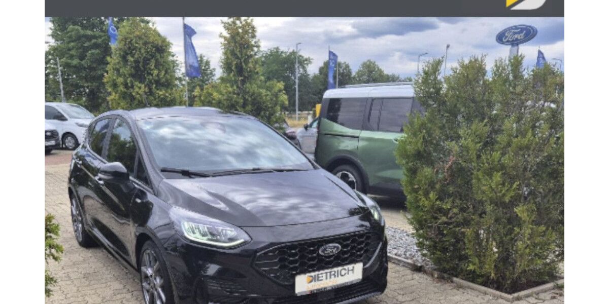 Ford Fiesta 24.500 km 16.690 &euro; Mannheim 68219