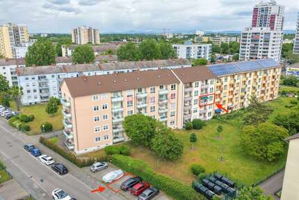 Wohnung Frankenthal (Pfalz) - 2 Zimmer, 52 m&sup2;, 169.000&euro; | Angebot:26609007