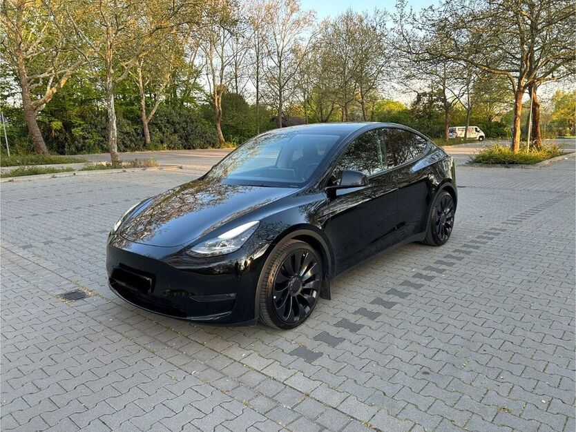 Model Y