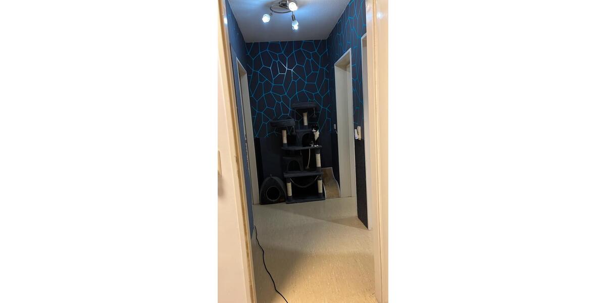Etagenwohnung Ludwigshafen am Rhein Ludwigshafen-Hemshof - 3 Zimmer, 85 m&sup2;, 255.000&euro; | Angebot:26294810