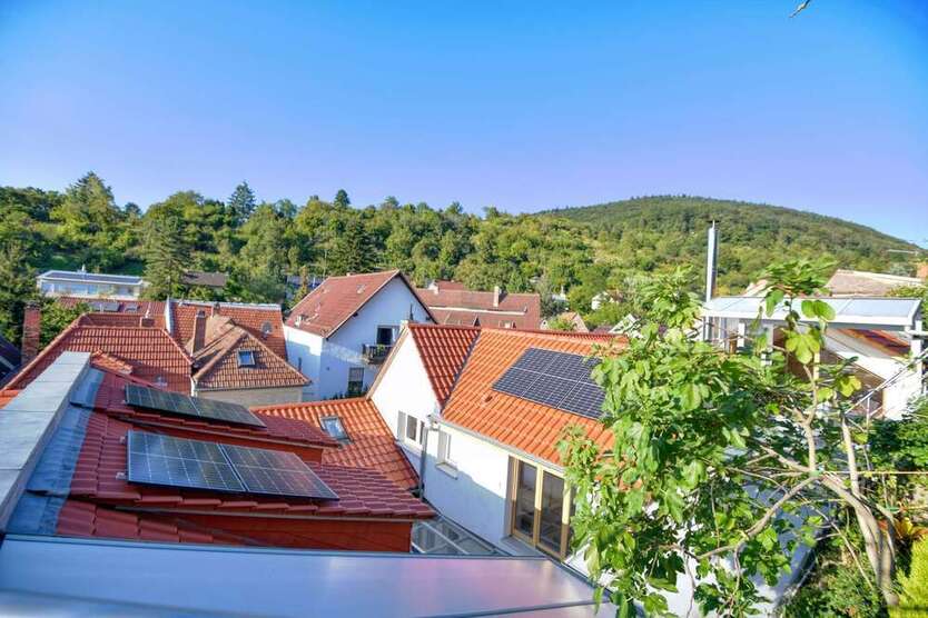 Haus zum Kaufen in Heidelberg 1.100.000 € 278.65 m²