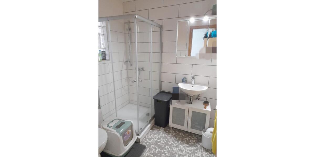 Terrassenwohnung Wald-Michelbach Michelbach - 1 Zimmer, 20 m&sup2;, 350&euro; | Angebot:24884247