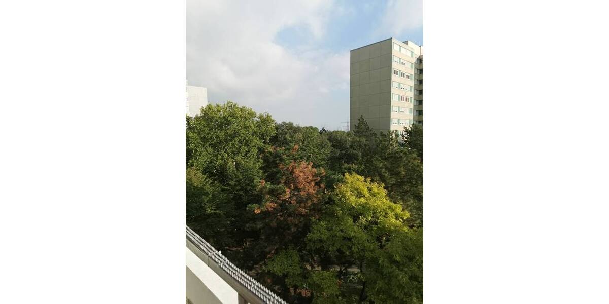 Etagenwohnung Ludwigshafen am Rhein / Pfingstweide Pfingstweide - 3 Zimmer, 78 m&sup2;, 218.000&euro; | Angebot:26219751