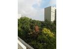 Etagenwohnung Ludwigshafen am Rhein / Pfingstweide Pfingstweide - 3 Zimmer, 78 m&sup2;, 218.000&euro; | Angebot:26219751