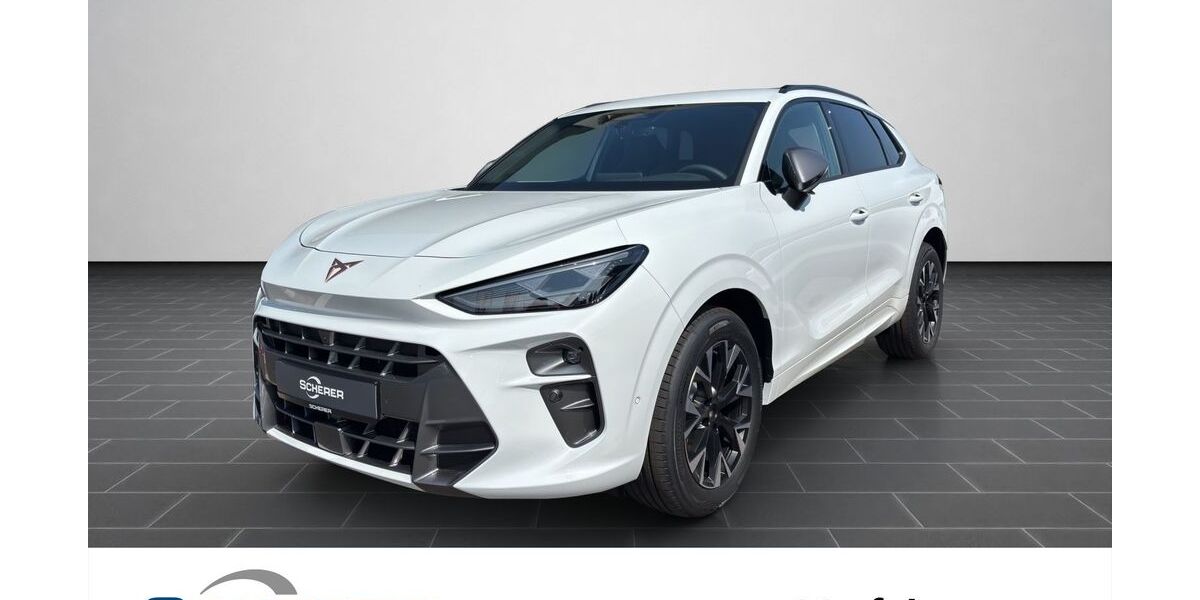 Cupra Terramar 4.900 km 39.390 &euro; Ludwigshafen 67063