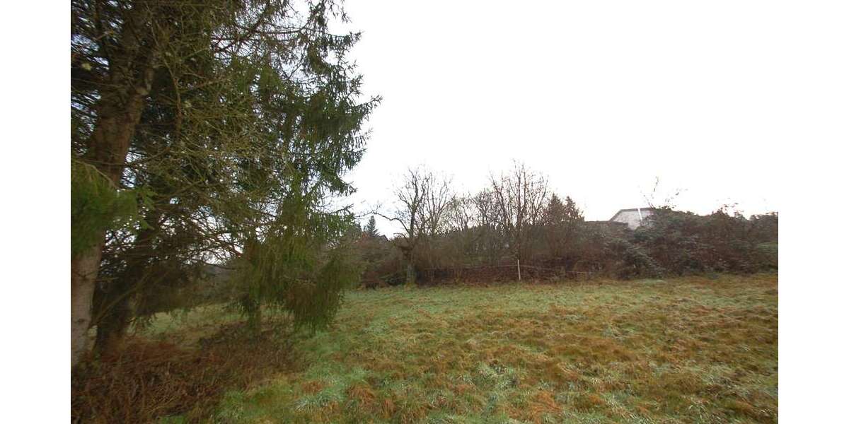 Grundstück Eberbach - 150.000&euro; | Angebot:24900184